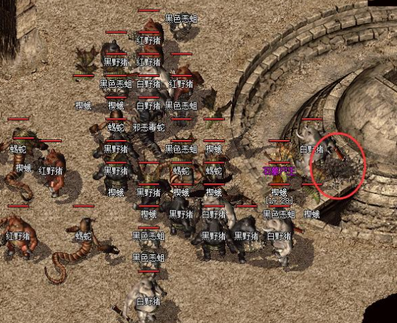 <b>优先将金币用于晋级技能如战士的‘半月弯刀’升至3级</b>