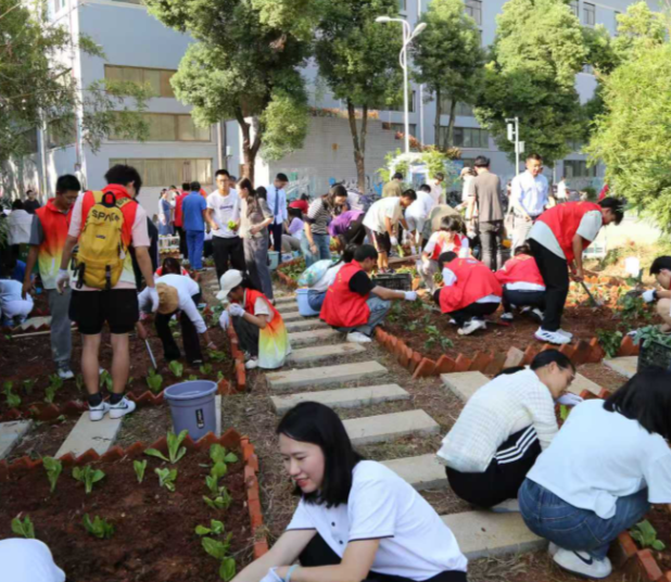 无论是学习还是日子走好每一步远比急于求成更有力量